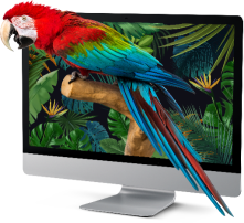 3D Holographic Display