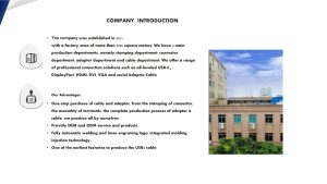 8K USB C To DP Cable