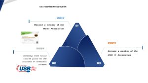 8K USB C To DP Cable