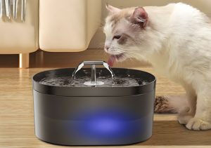 Automatic Pet Food Water Dispenser
