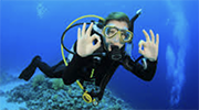 Diver