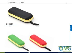 Glasses Case