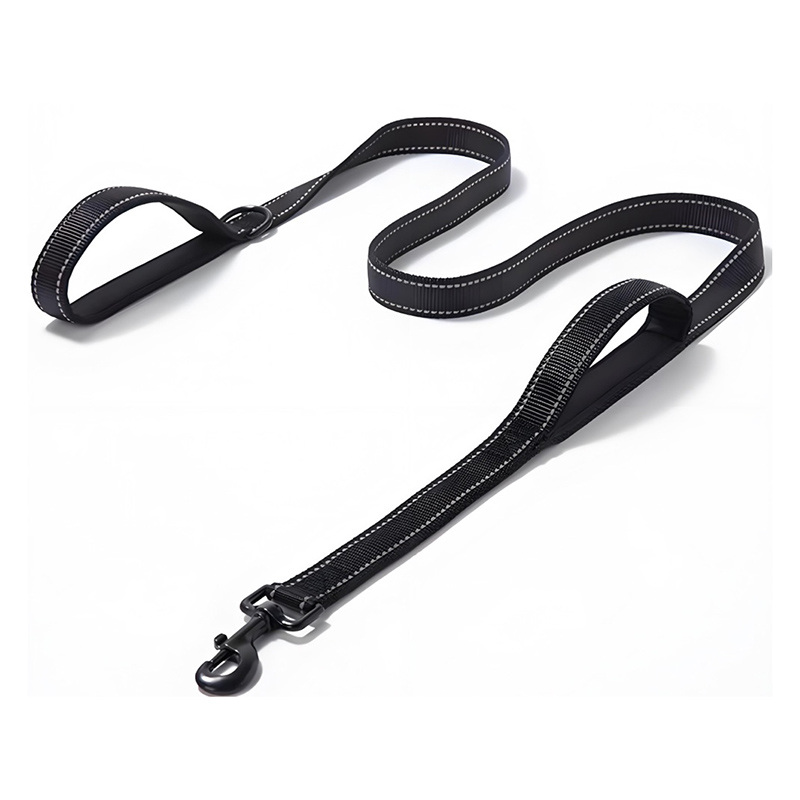 Pet leash