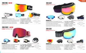 Ski Goggles