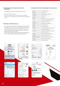 Wall Climbing Harness